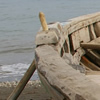 The Boat