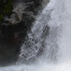 Free Fall