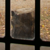 Through the Window